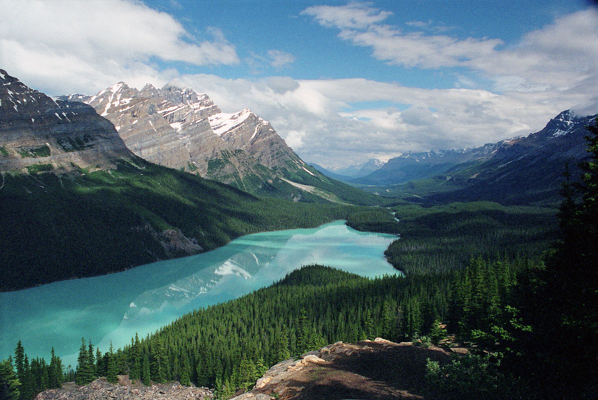 59 Peyto Lake, Caldron Peak, Mount Patterson, Mount Wilson, Mount Murchison In Summer From Near Icefields Parkway